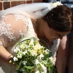 Der kastes med fuglefrø