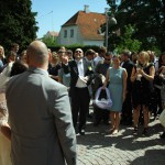 Der kastes med fuglefrø