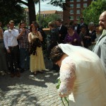 Der kastes med fuglefrø