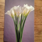 Per & Helle - Blomster